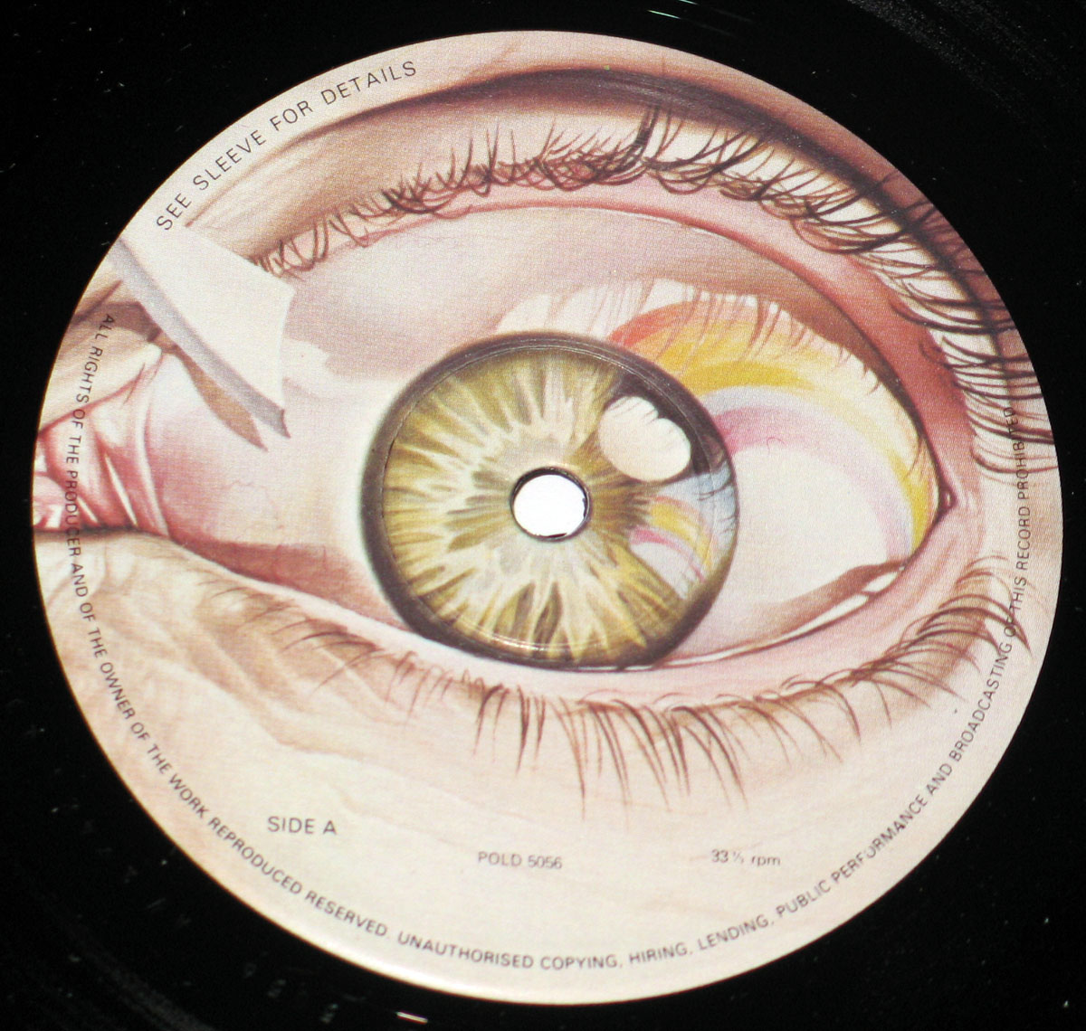 High Resolution Photos of rainbow straight between eyes uk 